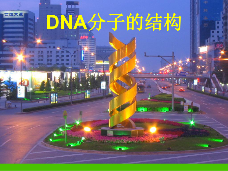 DNA的分子结构(姚宝琪)课件_第1页