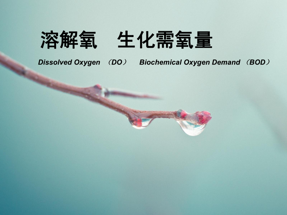 溶解氧与生化需氧量(DOANDBOD)_第1页