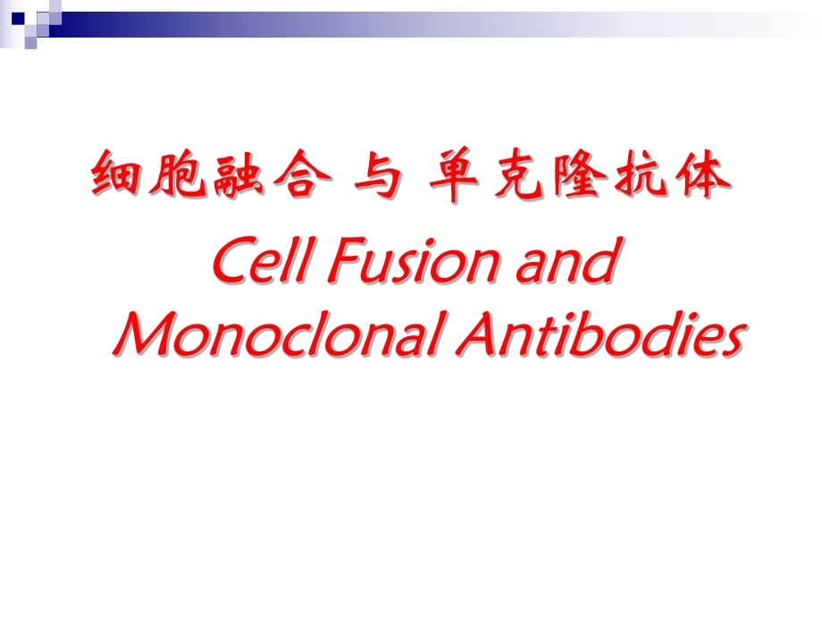 细胞融合-与-单克隆抗体课件_第1页