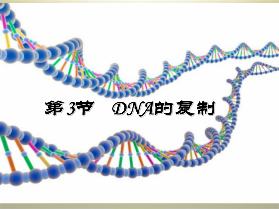 DNA半保留复制课件_第1页