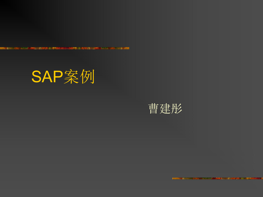 SAP案例综合分析_第1页