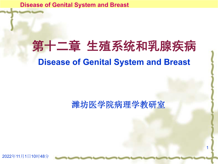 病理学生殖系统疾病ppt课件_第1页