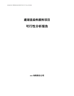 建湖县染料颜料项目可行性分析报告