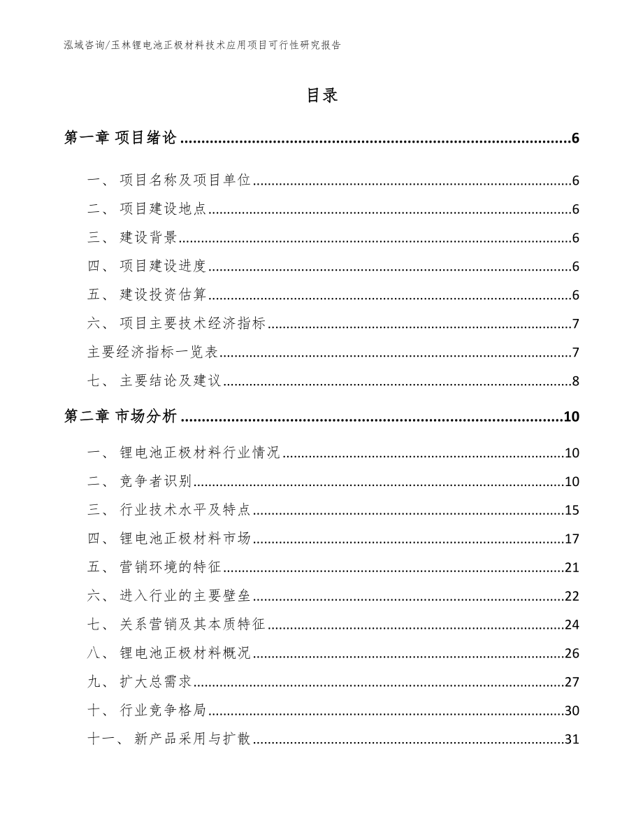 玉林锂电池正极材料技术应用项目可行性研究报告_模板参考_第1页