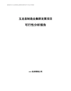 玉龙县制造业集群发展项目可行性分析报告【范文模板】