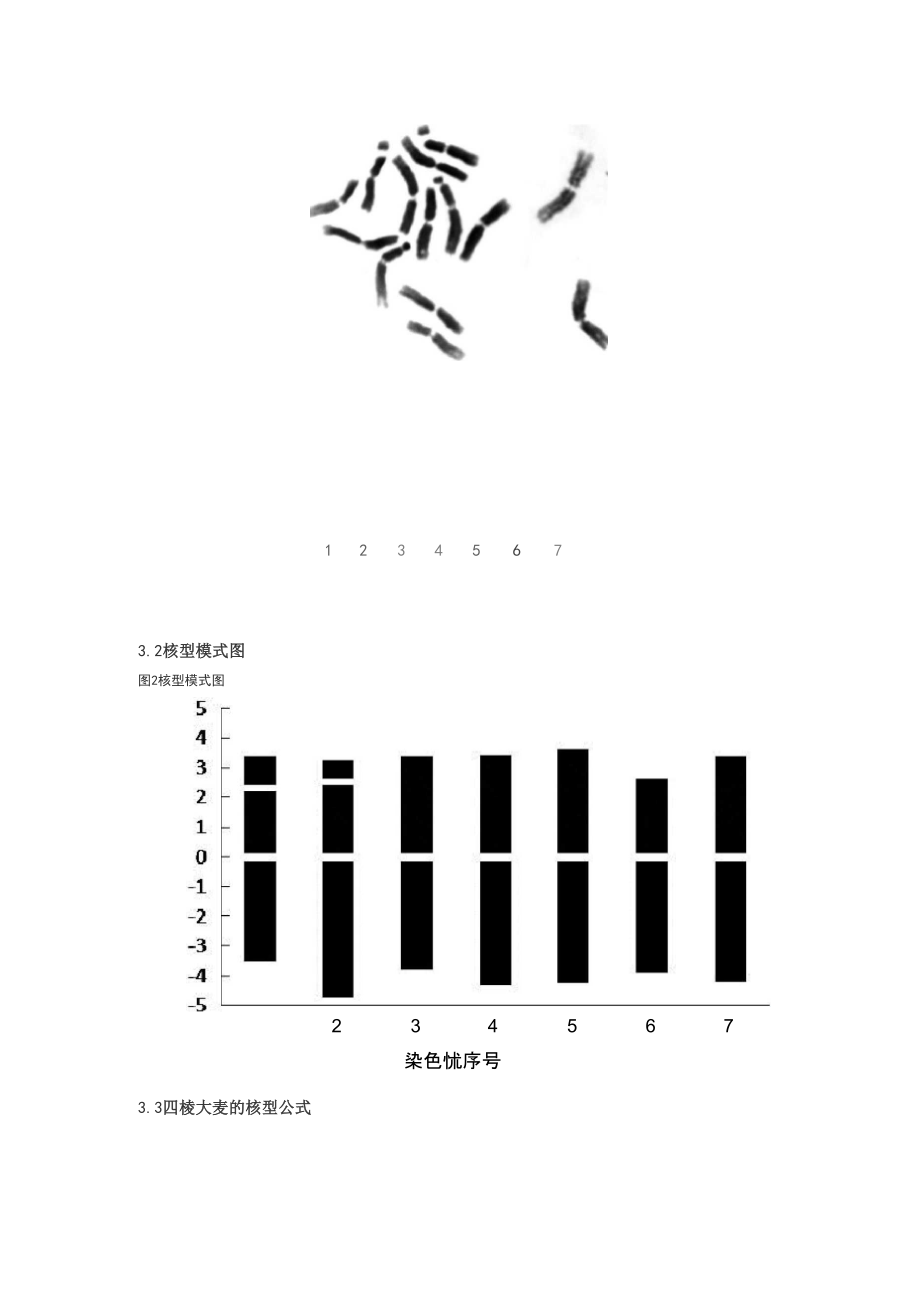 核型分析實驗報告_第2頁