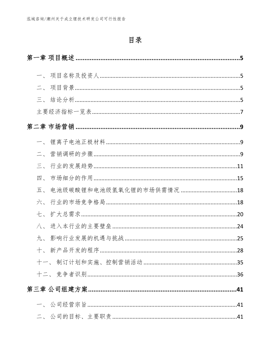 潮州关于成立锂技术研发公司可行性报告（模板参考）_第1页