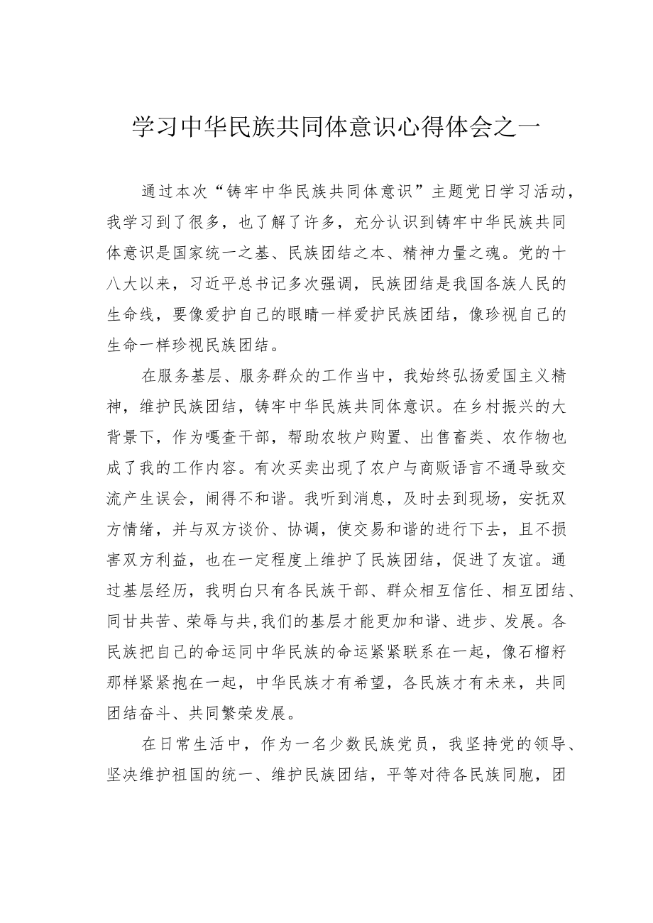 学习中华民族共同体意识心得体会之一_第1页