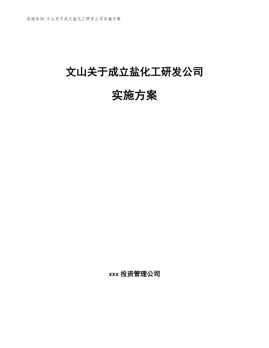 文山关于成立盐化工研发公司实施方案_模板范文_第1页