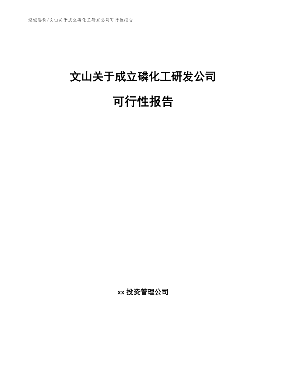 文山关于成立磷化工研发公司可行性报告_第1页