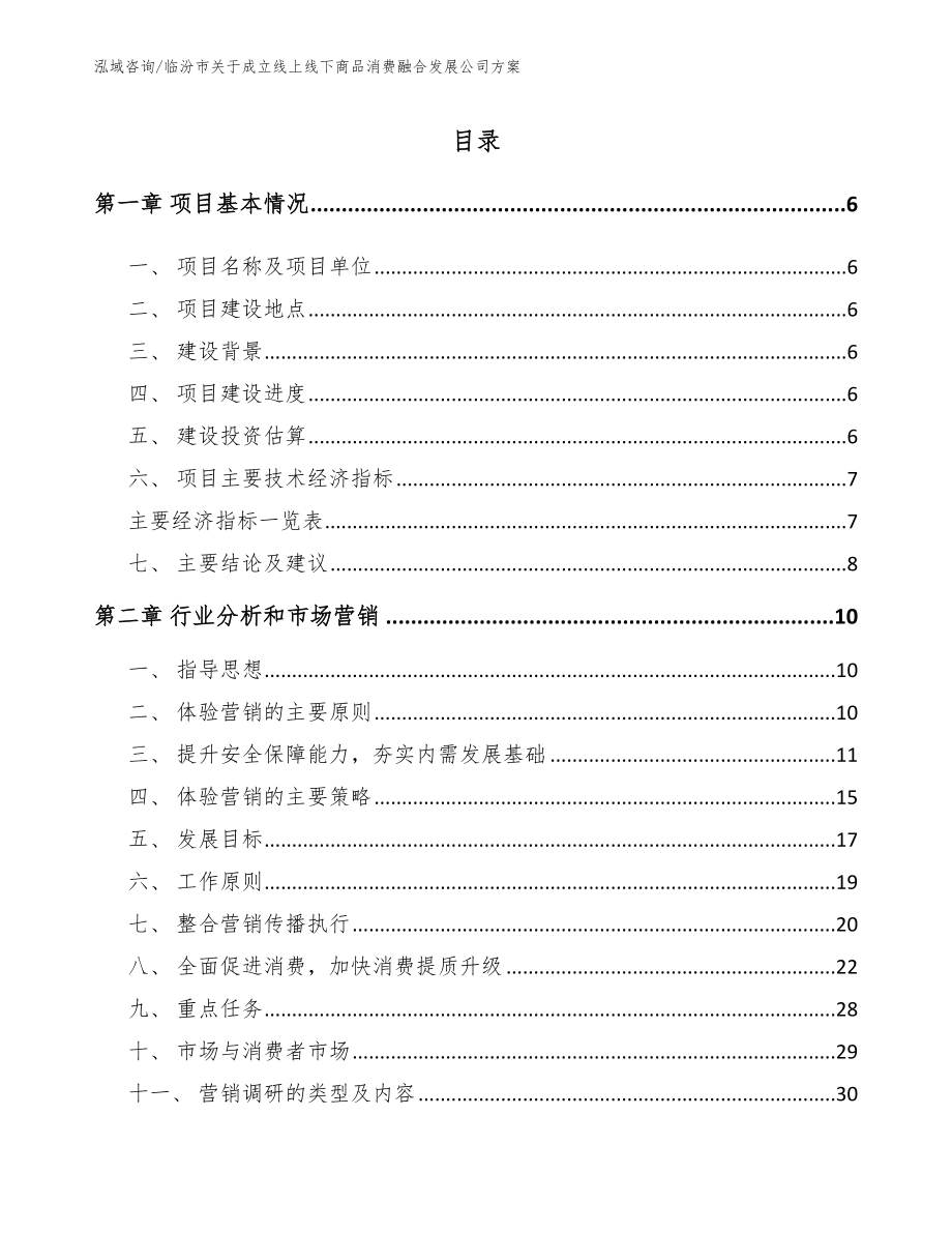 临汾市关于成立线上线下商品消费融合发展公司方案（模板范文）_第1页