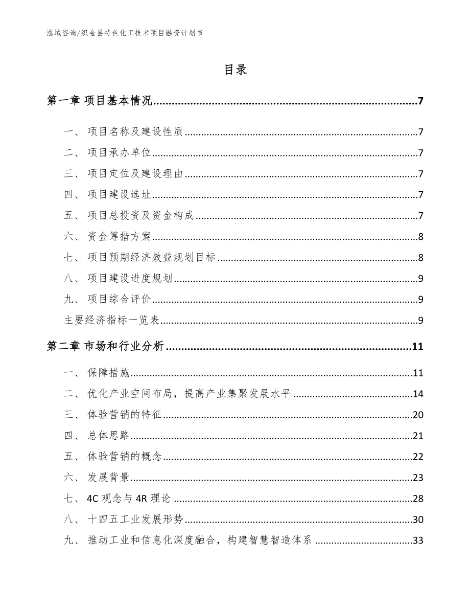 织金县特色化工技术项目融资计划书【参考模板】_第1页