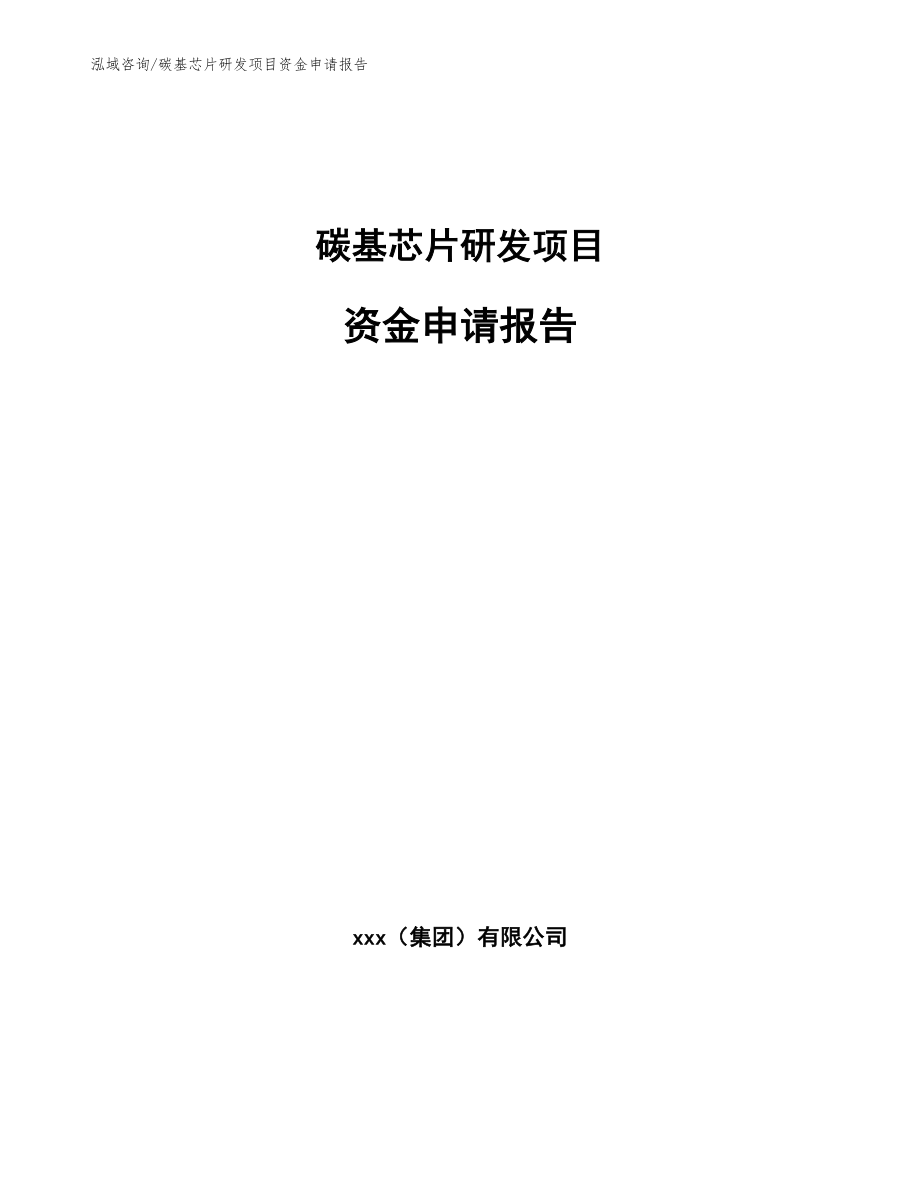 碳基芯片研发项目资金申请报告_第1页