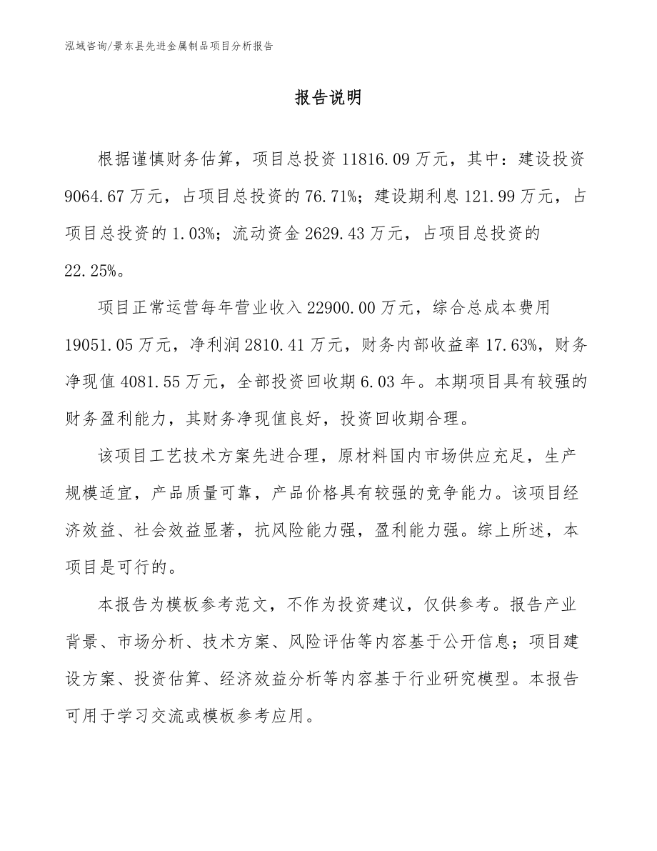 景东县先进金属制品项目分析报告_模板范本_第1页