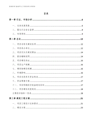 盐城市化工项目投资分析报告模板