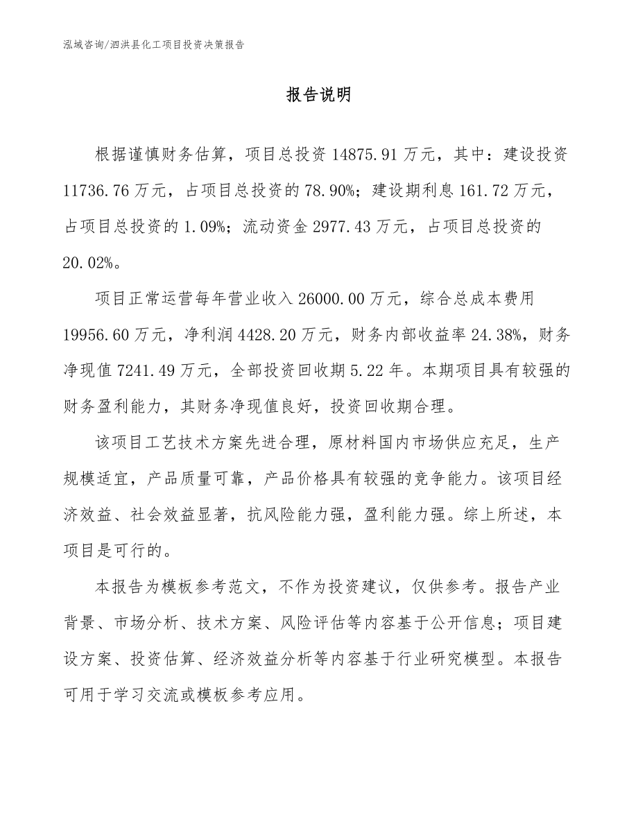 泗洪县化工项目投资决策报告范文_第1页