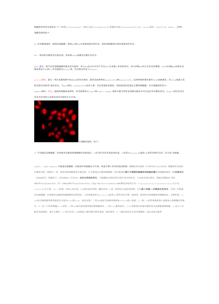 常见细胞核荧光染料_第1页