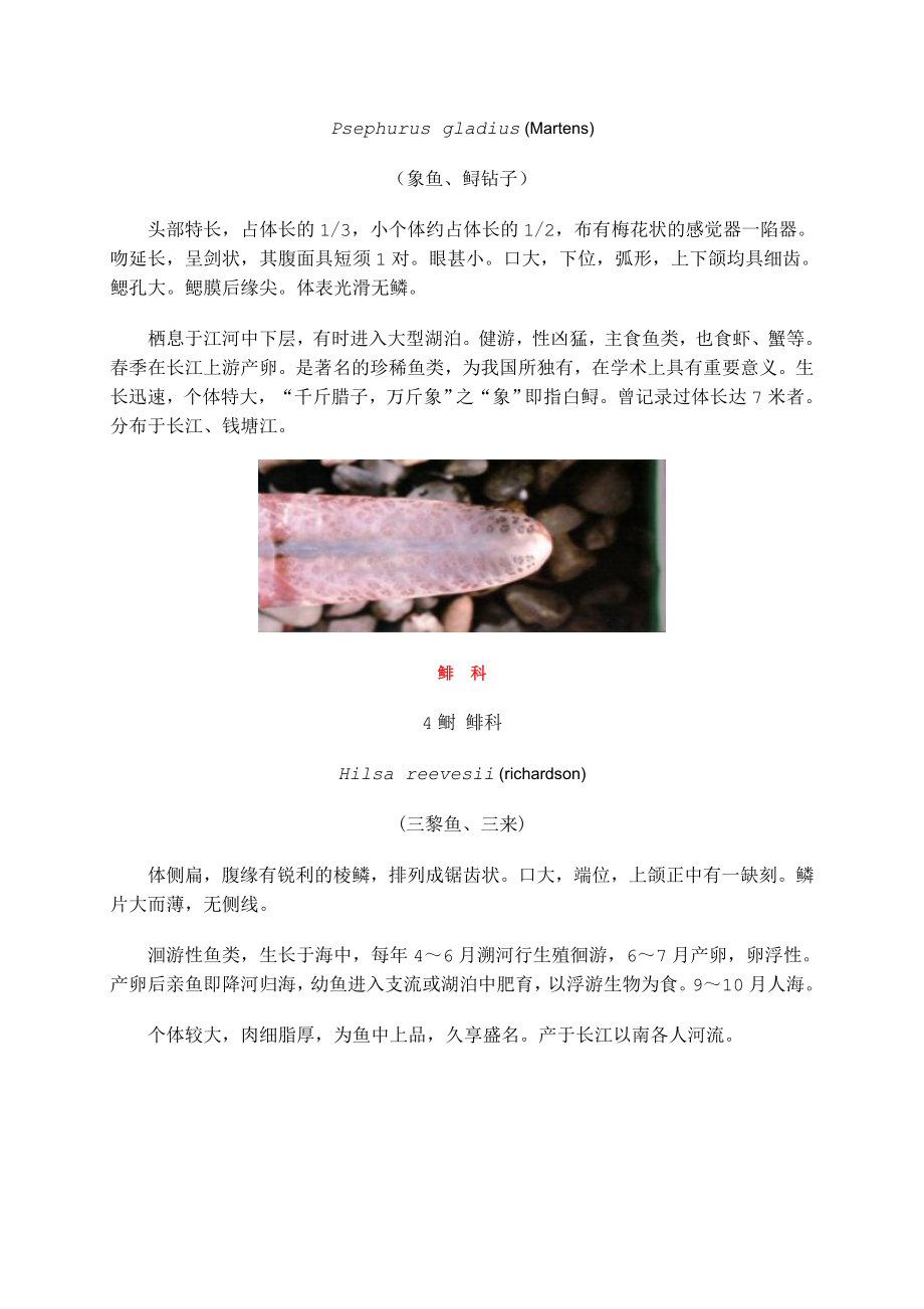 中国淡水鱼观赏图集_第1页