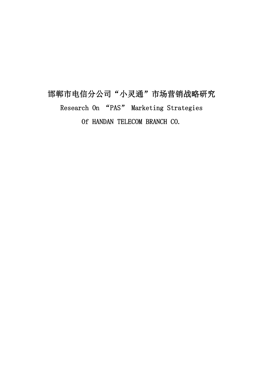 某电信公司小灵通市场营销战略研讨会_第1页