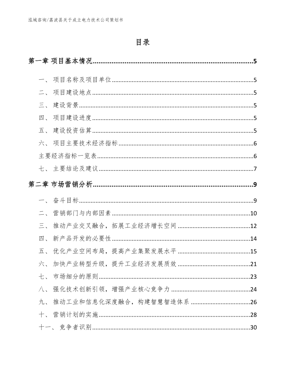 荔波县关于成立电力技术公司策划书（参考模板）_第1页