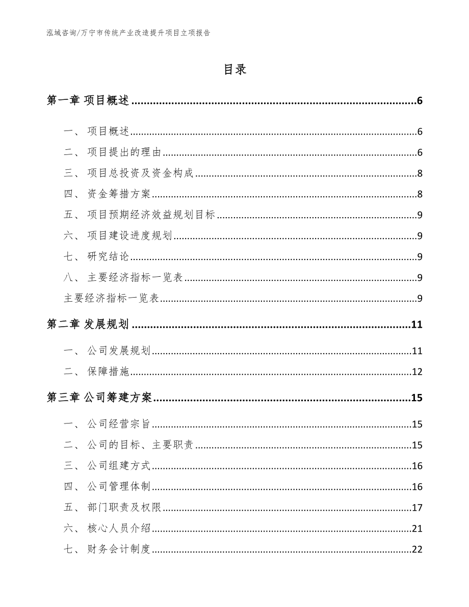 万宁市传统产业改造提升项目立项报告_模板参考_第1页