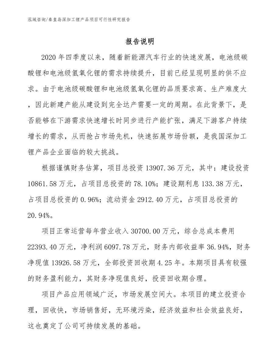 秦皇岛深加工锂产品项目可行性研究报告参考范文_第1页