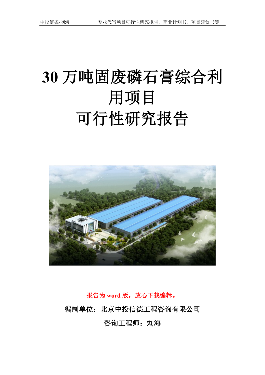 30万吨固废磷石膏综合利用项目可行性研究报告写作模板立项备案文件_第1页