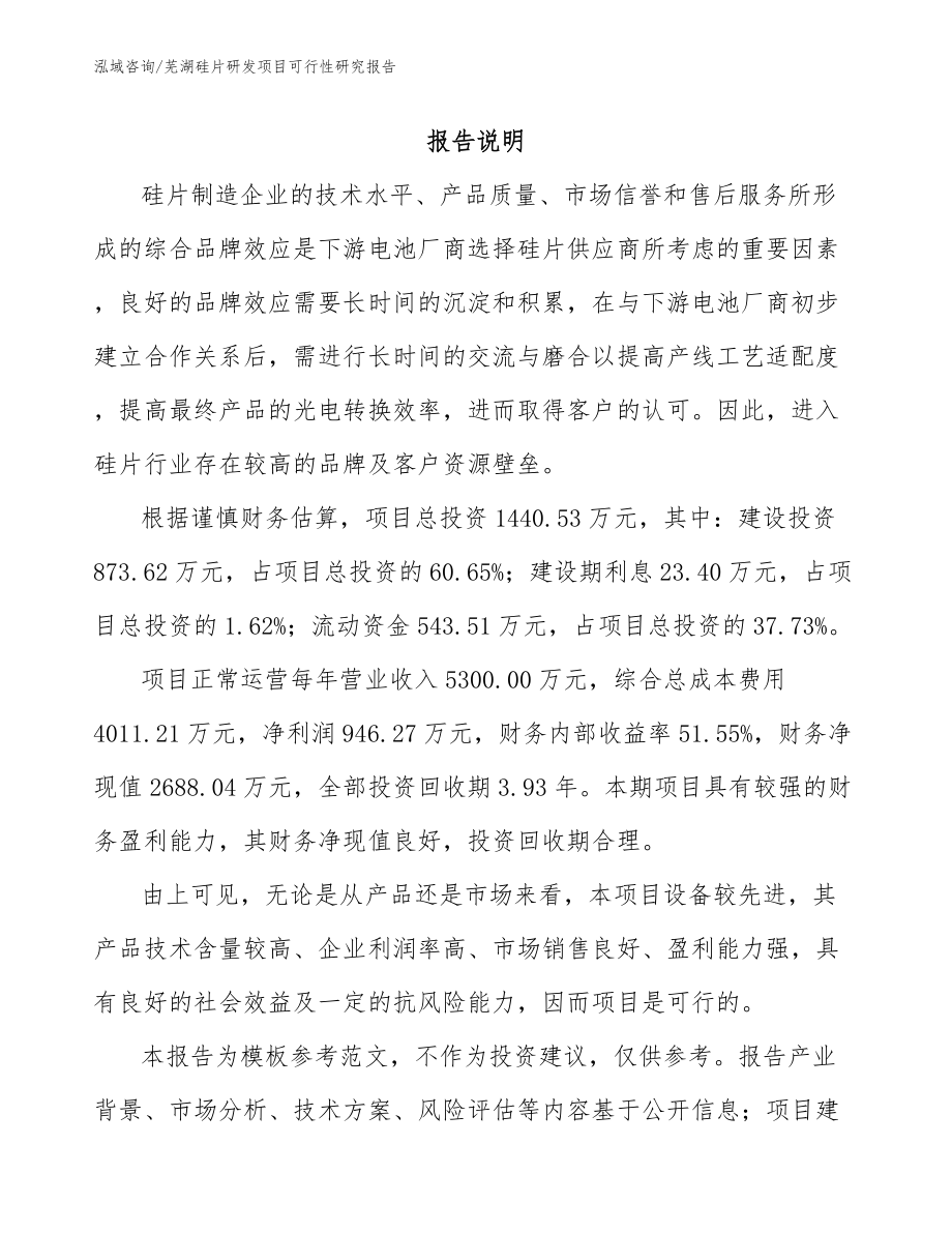 芜湖硅片研发项目可行性研究报告_第1页