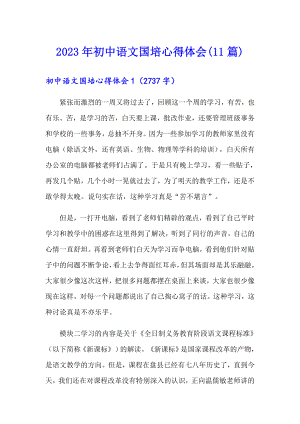 2023年初中语文国培心得体会(11篇)