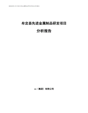 牟定县先进金属制品研发项目分析报告（模板范文）