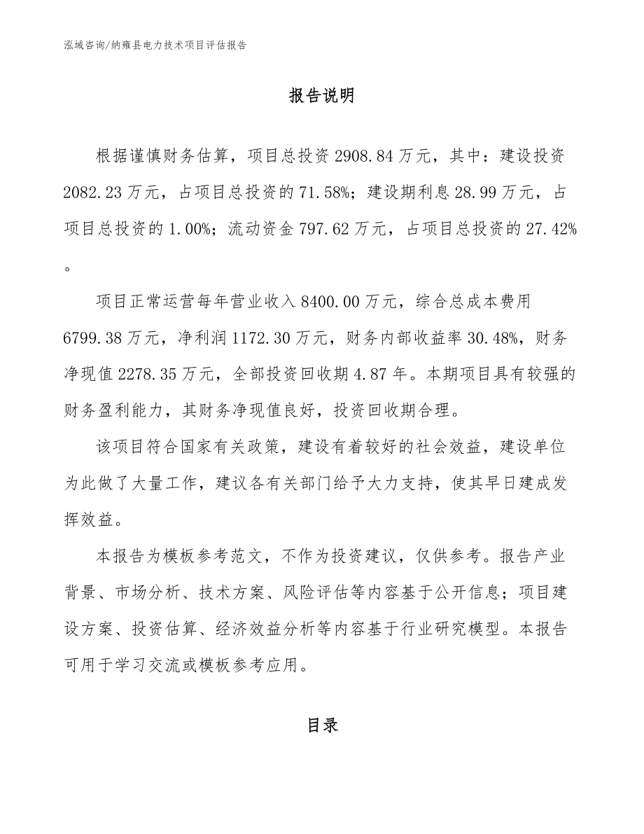 纳雍县电力技术项目评估报告_第1页