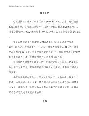 纳雍县电力技术项目评估报告
