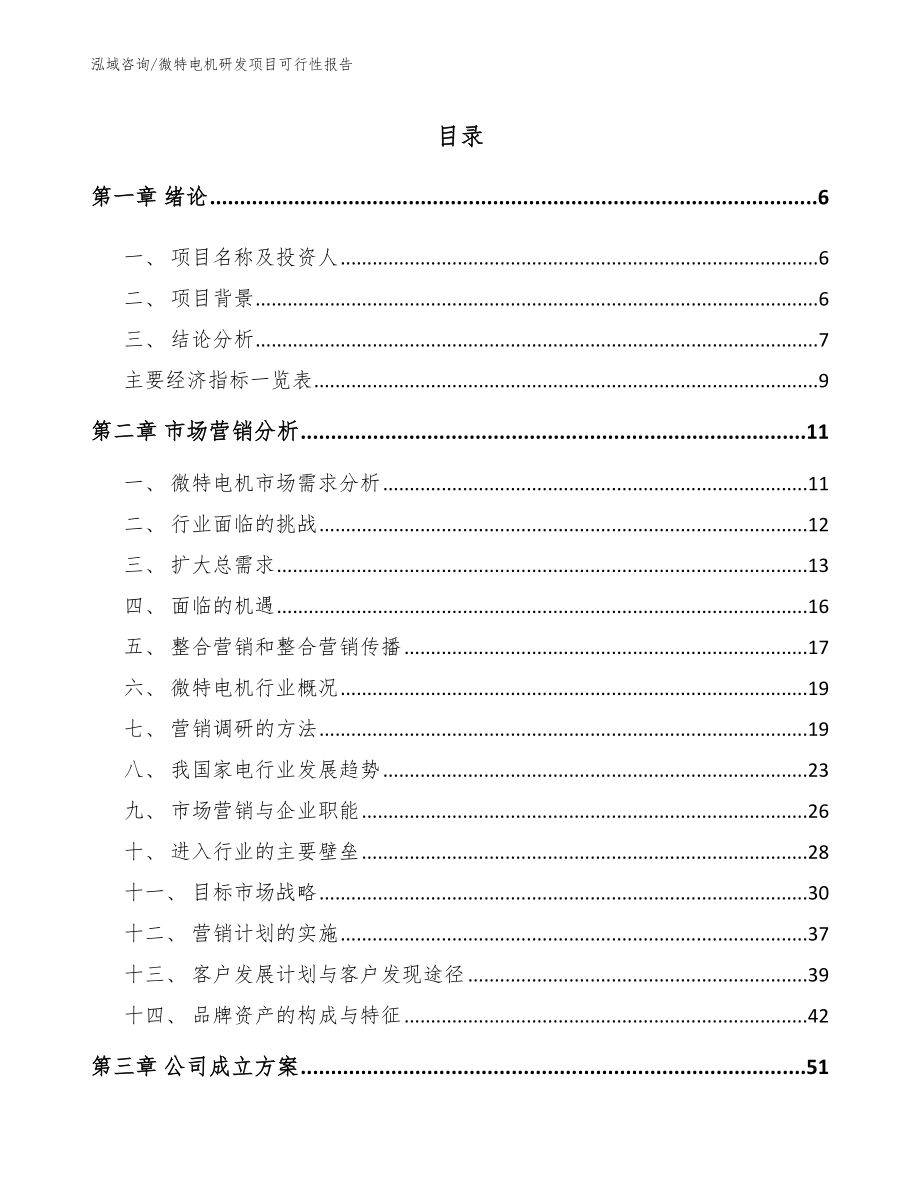 微特电机研发项目可行性报告_模板_第1页