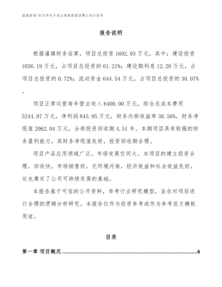 东兴市关于成立培育新型消费公司计划书模板_第1页