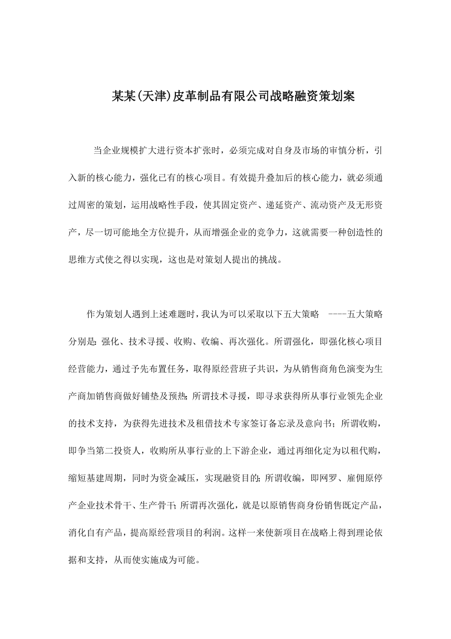 某某(天津)皮革制品有限公司战略融资策划案(doc10)_第1页