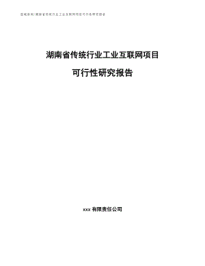 湖南省传统行业工业互联网项目可行性研究报告
