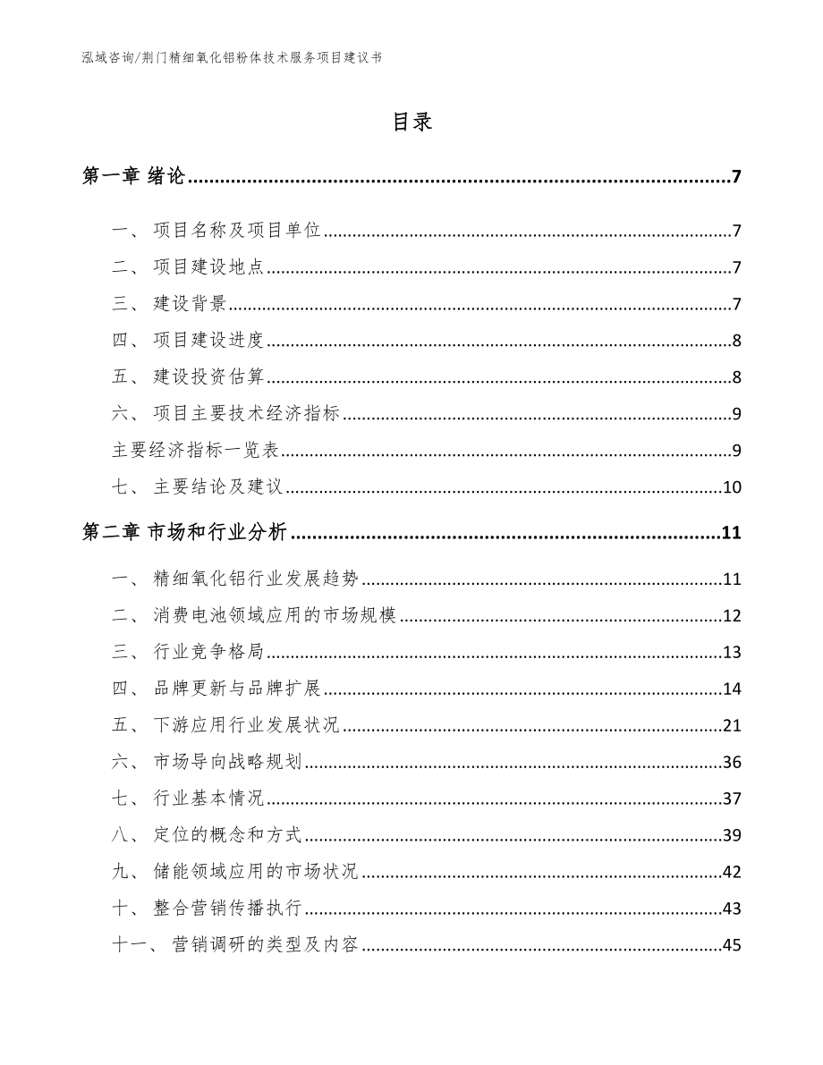 荆门精细氧化铝粉体技术服务项目建议书_第1页