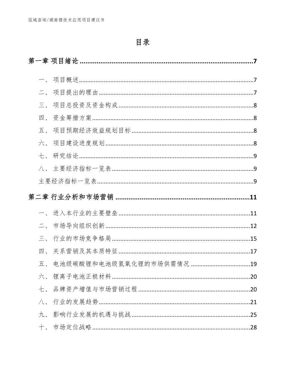 湖南锂技术应用项目建议书_第1页