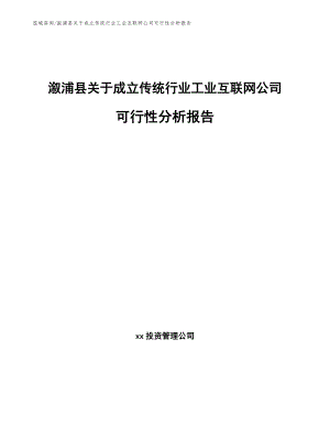 溆浦县关于成立传统行业工业互联网公司可行性分析报告【模板范本】