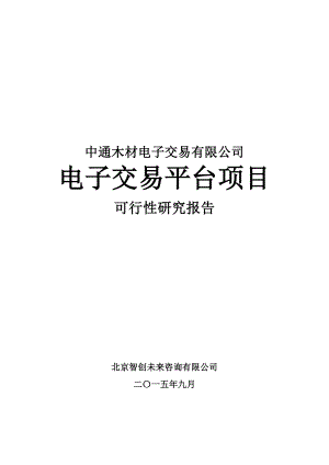 某公司电子交易平台项目可行性研究报告