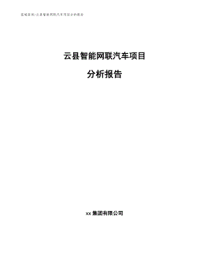 云县智能网联汽车项目分析报告