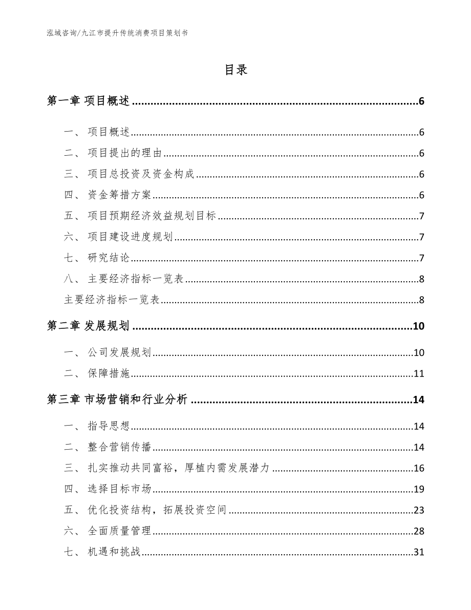 九江市提升传统消费项目策划书_第1页