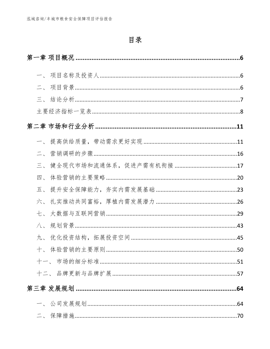 丰城市粮食安全保障项目评估报告【模板范文】_第1页