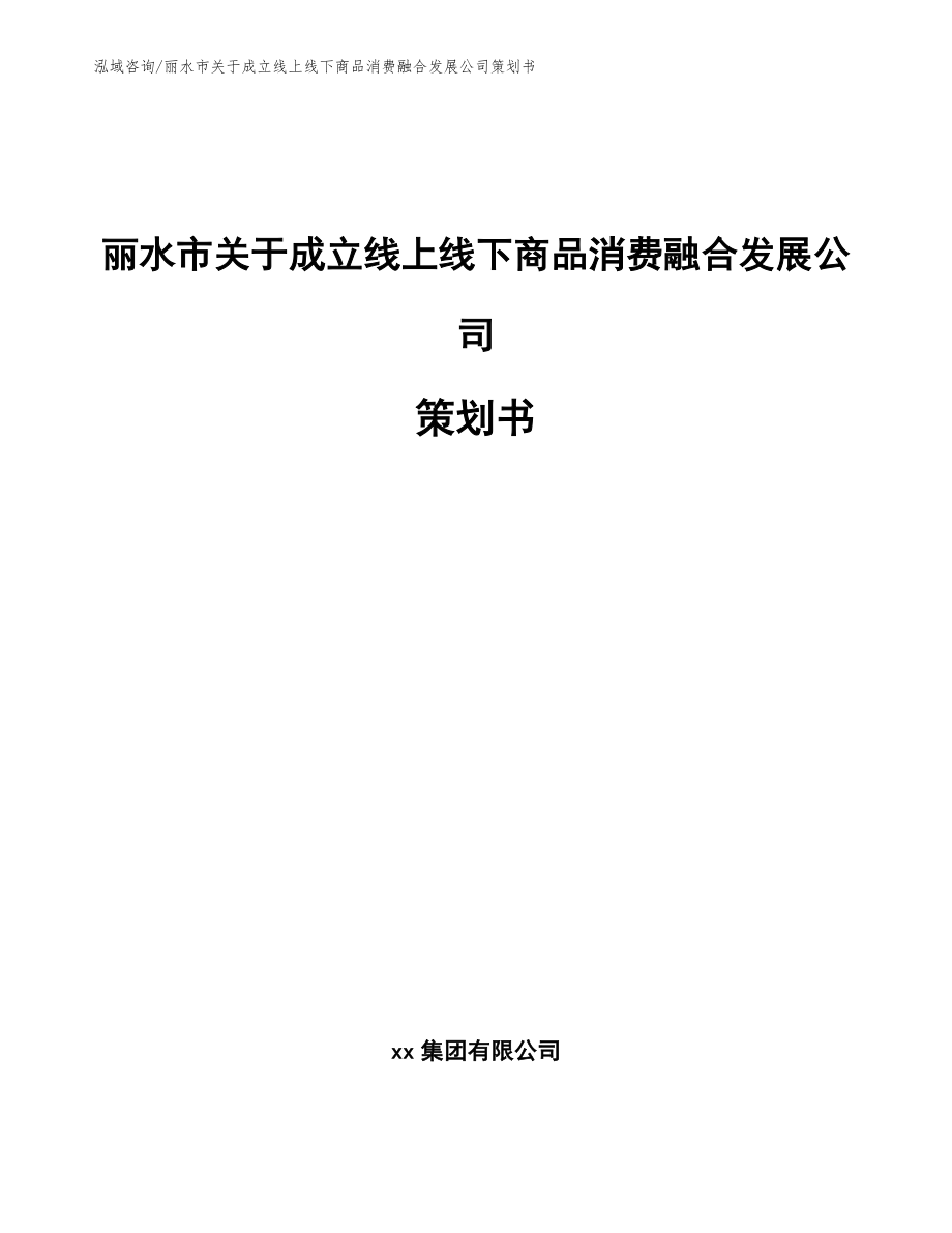 丽水市关于成立线上线下商品消费融合发展公司策划书_模板范文_第1页