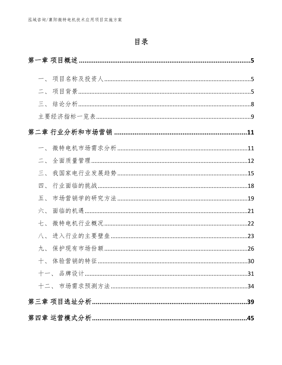 襄阳微特电机技术应用项目实施方案（范文）_第1页