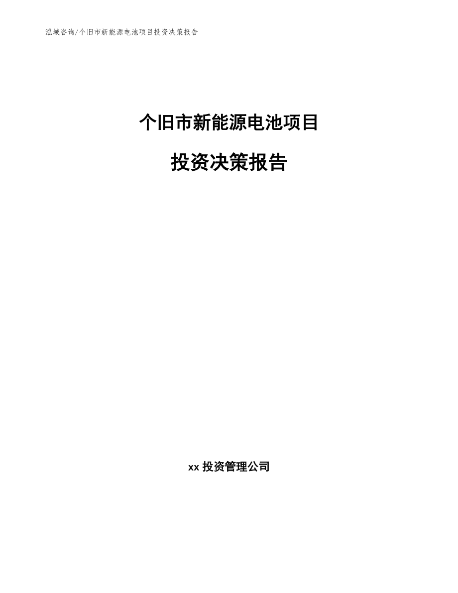 个旧市新能源电池项目投资决策报告模板参考_第1页