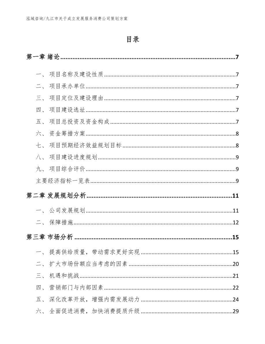 九江市关于成立发展服务消费公司策划方案范文_第1页