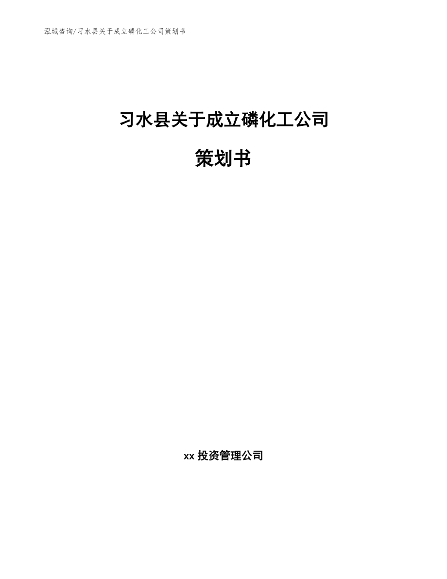 习水县关于成立磷化工公司策划书【参考范文】_第1页