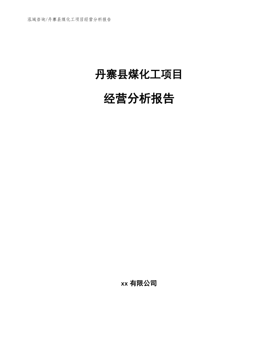 丹寨县煤化工项目经营分析报告【模板】_第1页