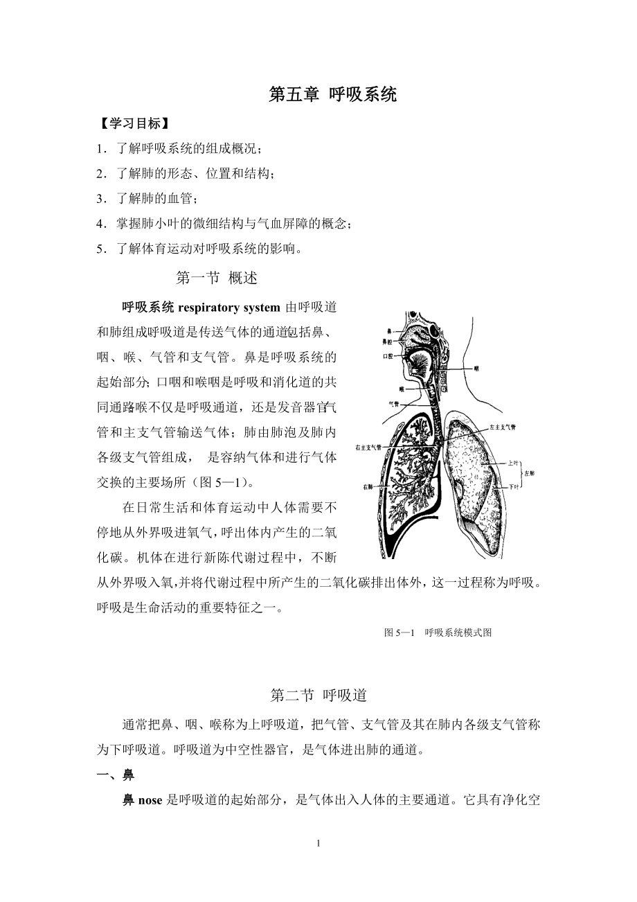 第五章呼吸系统_第1页